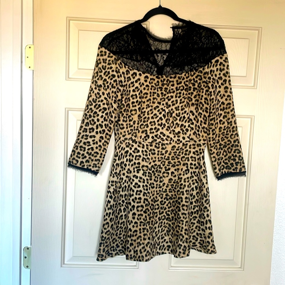 Zara collection new
